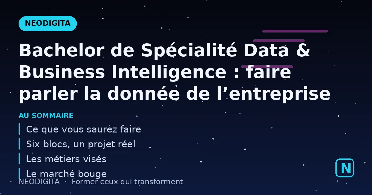 Schéma : Bachelor de Spécialité Data & Business Intelligence : faire parler la donnée de l’entrepri