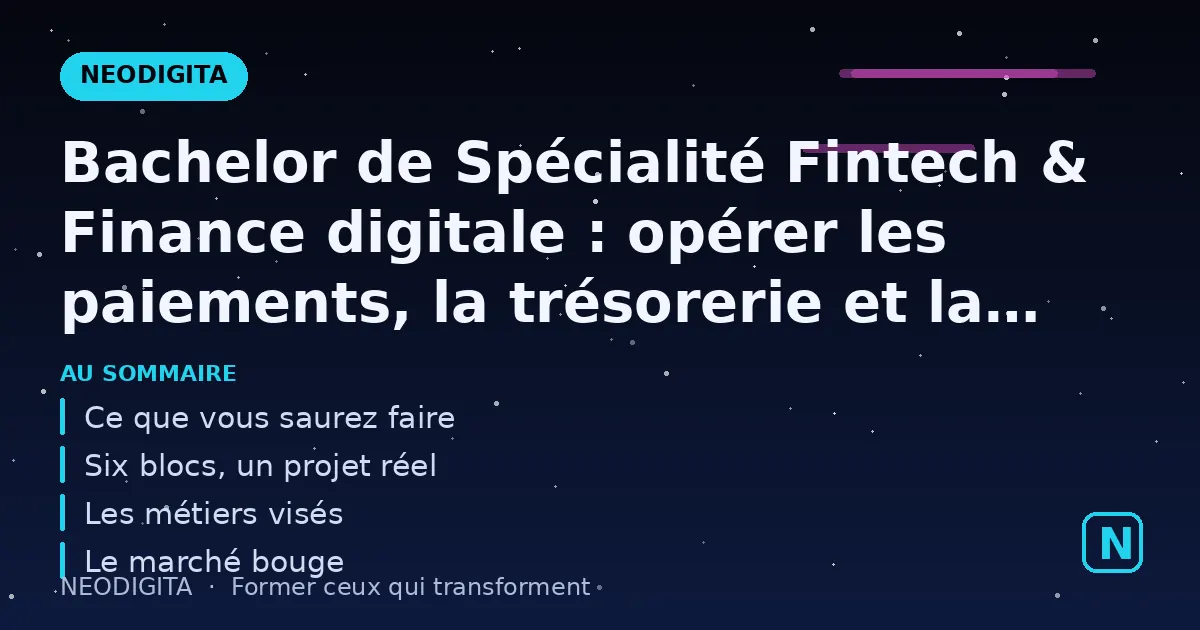 Schéma : Bachelor de Spécialité Fintech & Finance digitale : opérer les paiements, la trésorerie et