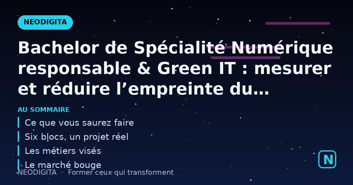 Schéma : Bachelor de Spécialité Numérique responsable & Green IT : mesurer et réduire l’empreinte d
