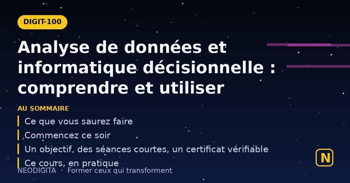 Schéma : Analyse de données et informatique décisionnelle : comprendre et utiliser