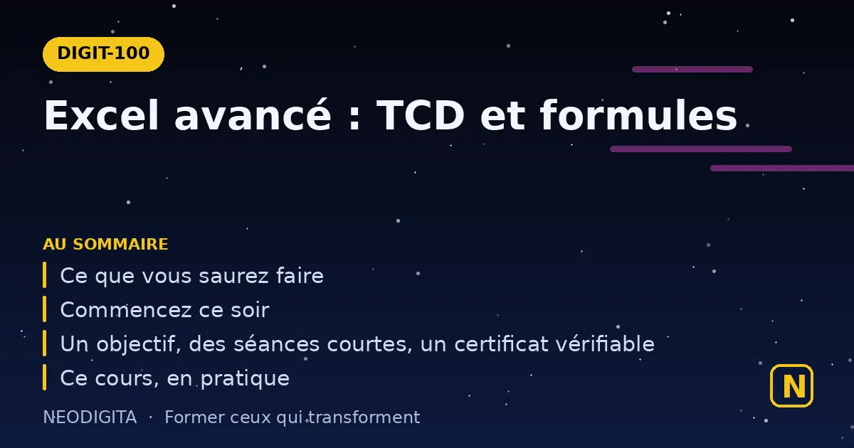 Schéma : Excel avancé : tableaux croisés dynamiques et formules