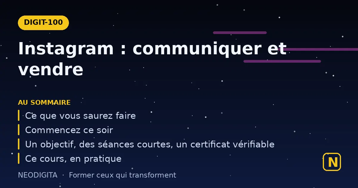 Schéma : Instagram : communiquer et vendre