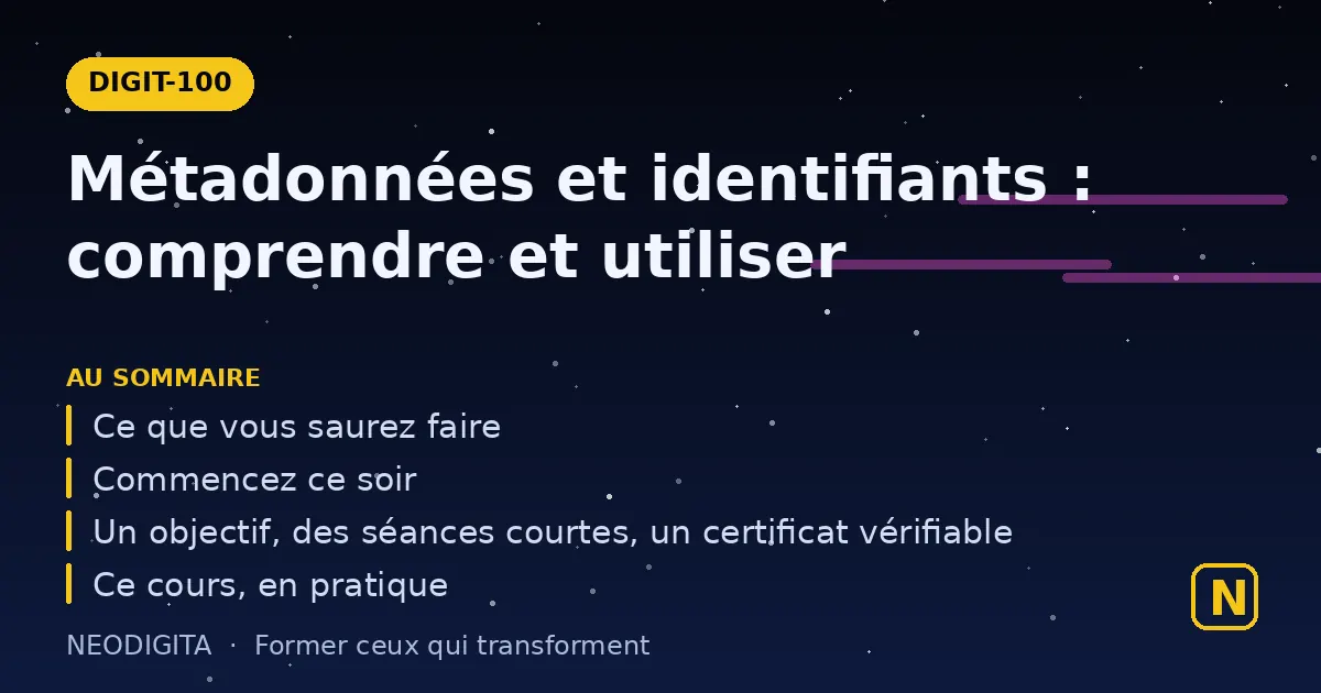Schéma : Métadonnées et identifiants : comprendre et utiliser