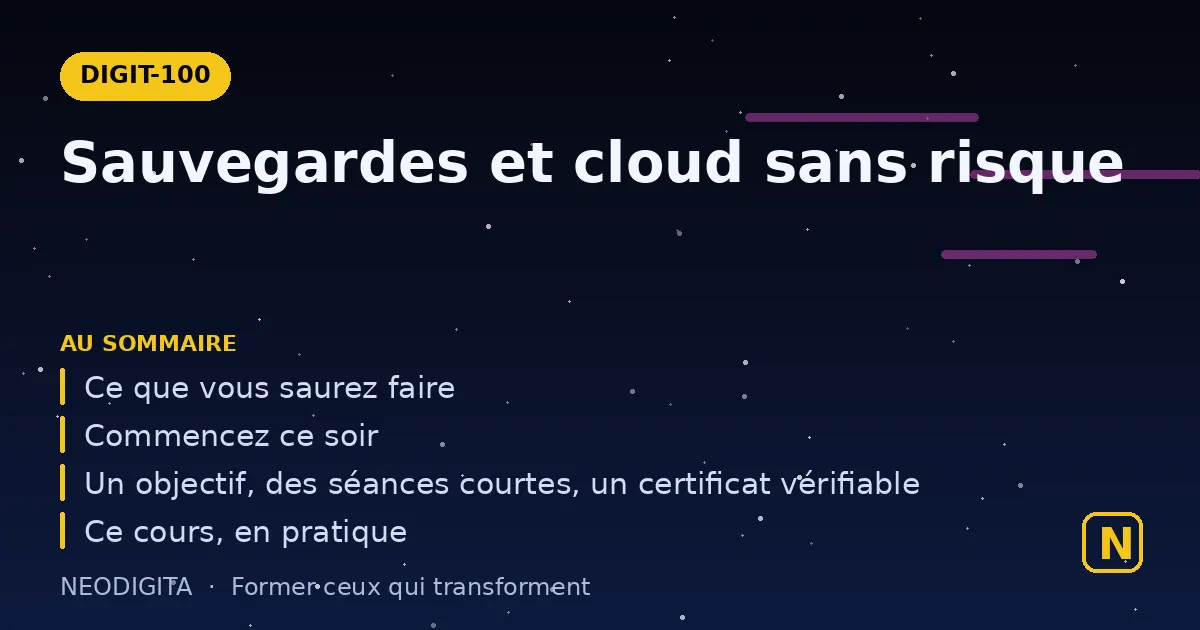 Schéma : Sauvegardes et cloud sans risque