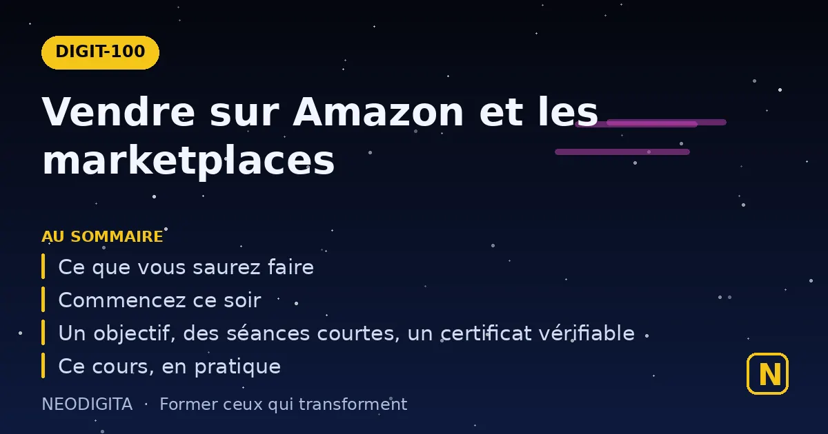 Schéma : Vendre sur Amazon et les marketplaces