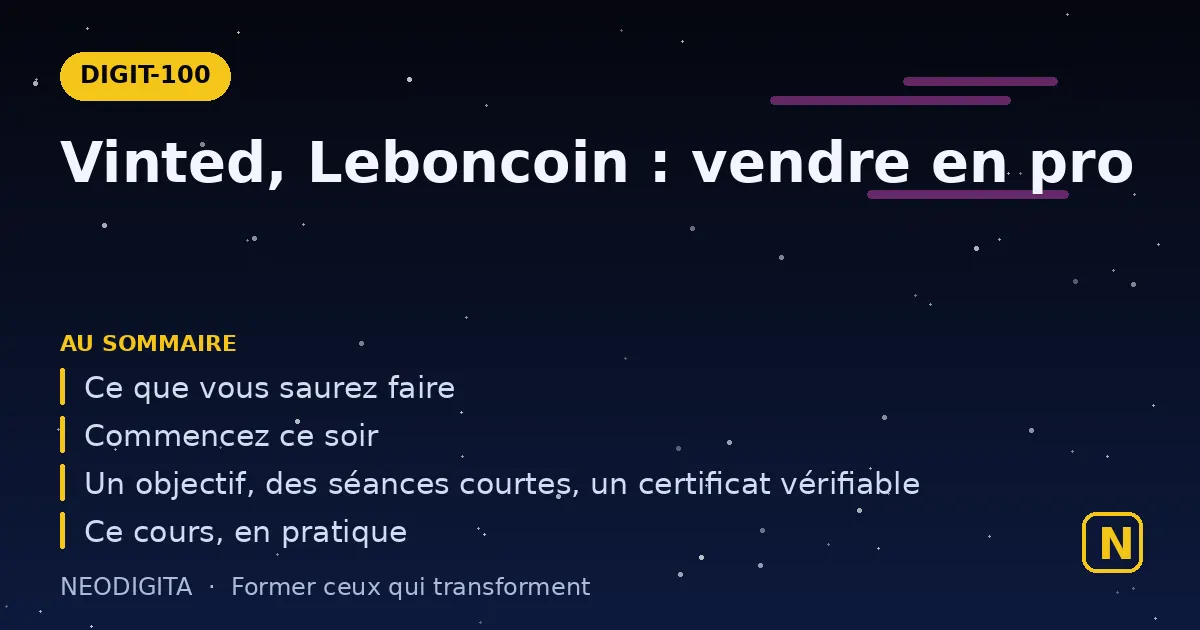 Schéma : Vinted, Leboncoin : vendre en pro