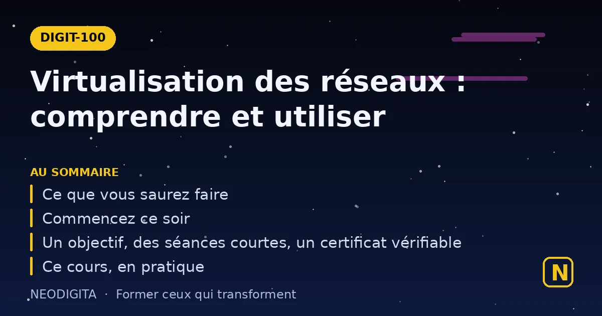 Schéma : Virtualisation des réseaux : comprendre et utiliser