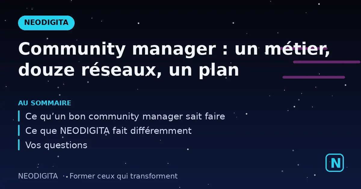 Schéma : Community manager : un métier, douze réseaux, un plan
