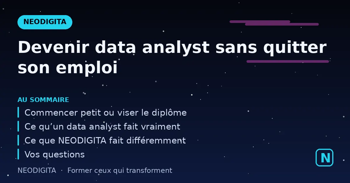 Schéma : Formation data analyst