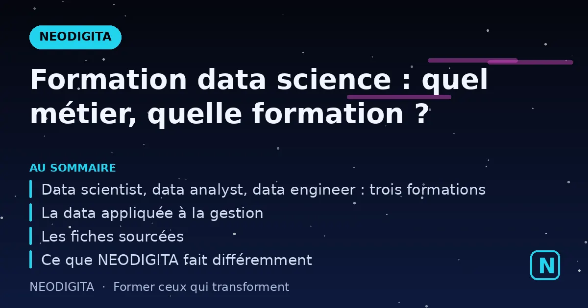 Schéma : Formation data science : quel métier, quelle formation ?