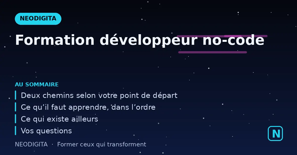 Schéma : Formation développeur no-code
