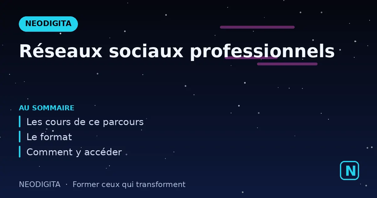 Schéma : Réseaux sociaux professionnels