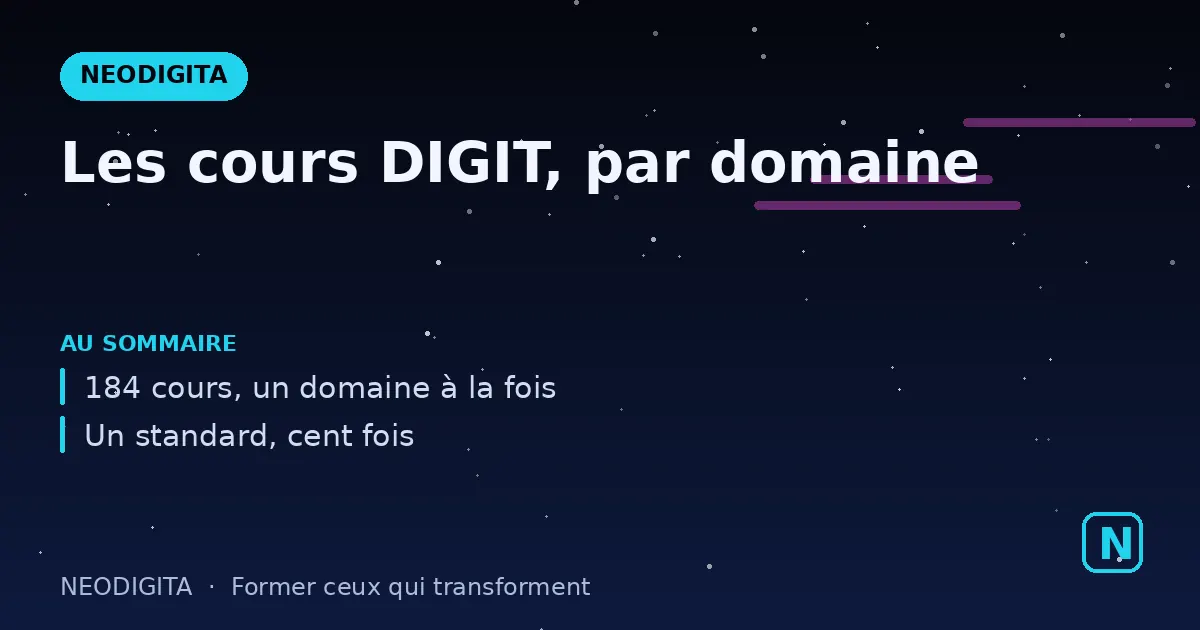 Schéma : Les cours DIGIT, par domaine