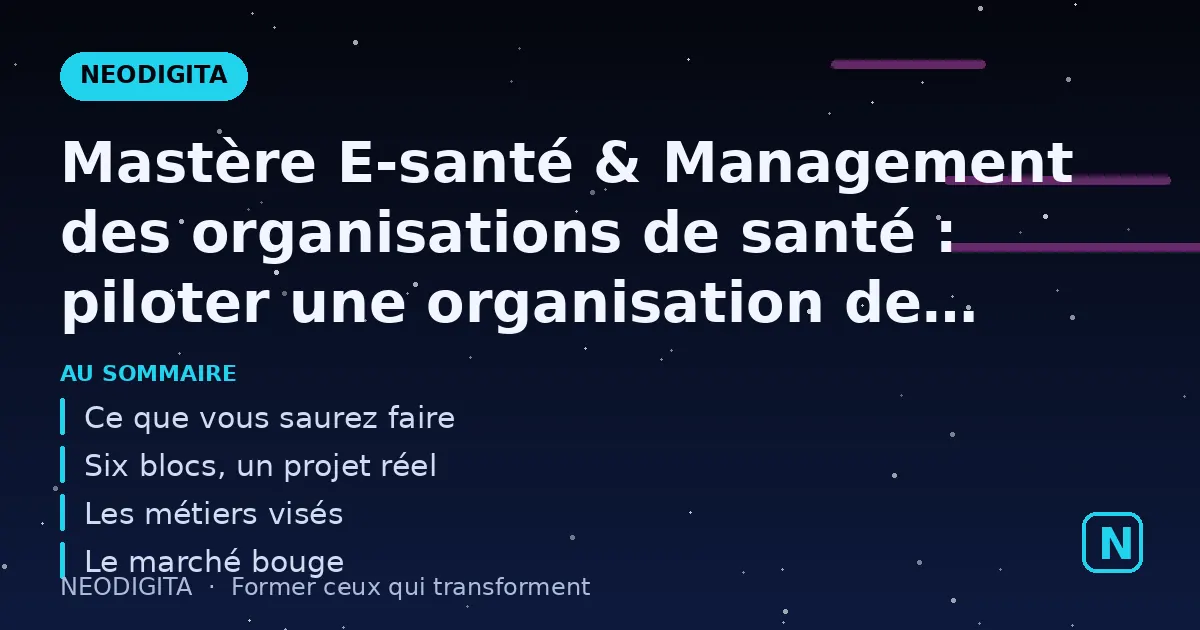 Schéma : Mastère E-santé & Management des organisations de santé : piloter une organisation de sant