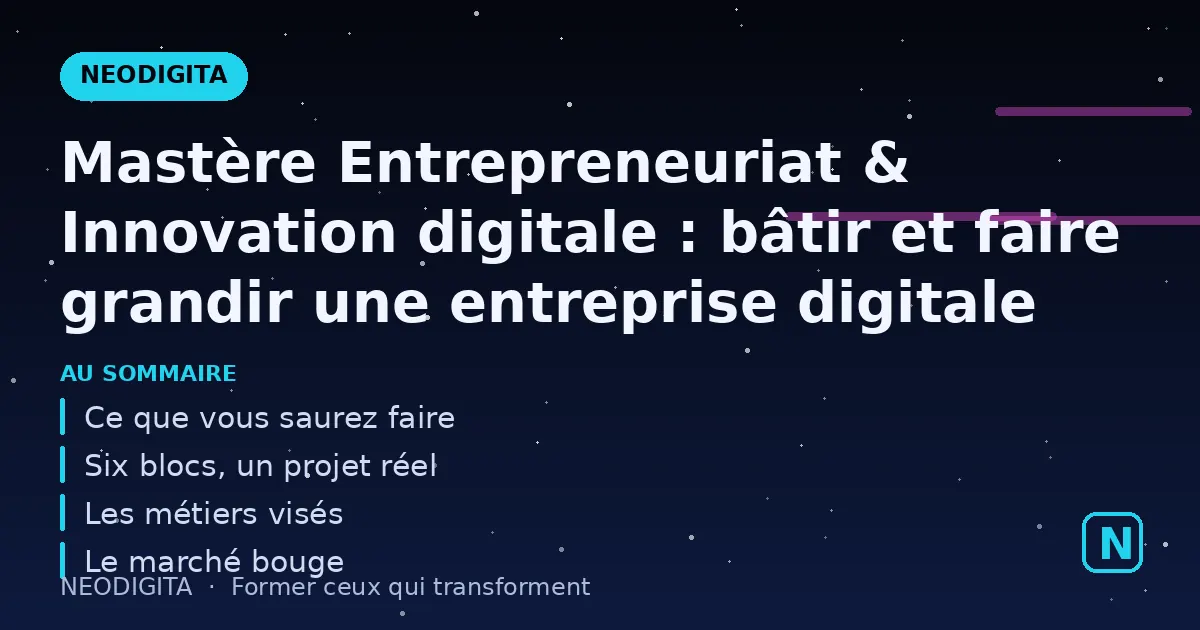 Schéma : Mastère Entrepreneuriat & Innovation digitale : bâtir et faire grandir une entreprise digi