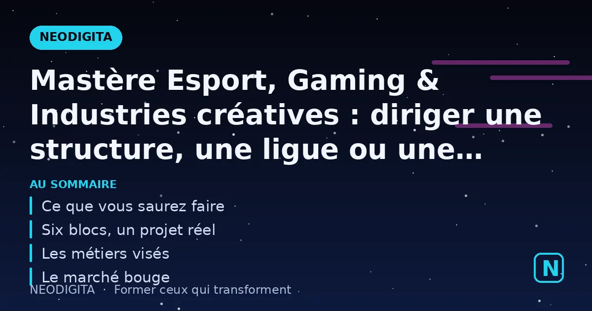 Schéma : Mastère Esport, Gaming & Industries créatives : diriger une structure, une ligue ou une fr