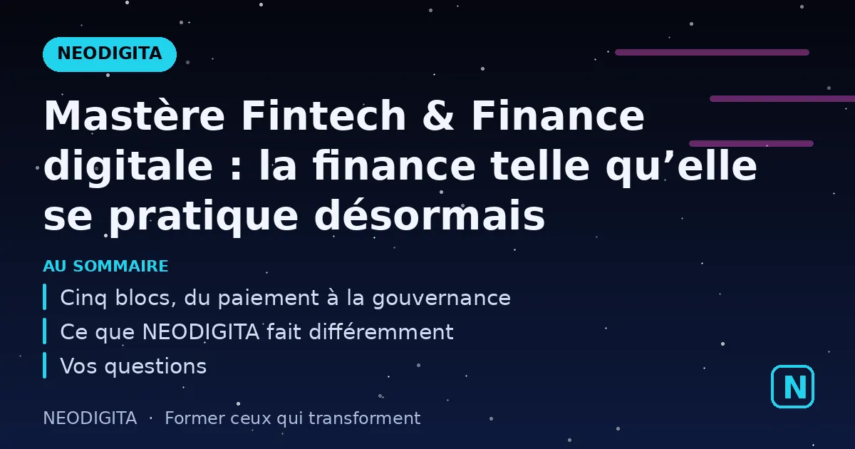 Schéma : Mastère Fintech & Finance digitale : la finance telle qu’elle se pratique désormais
