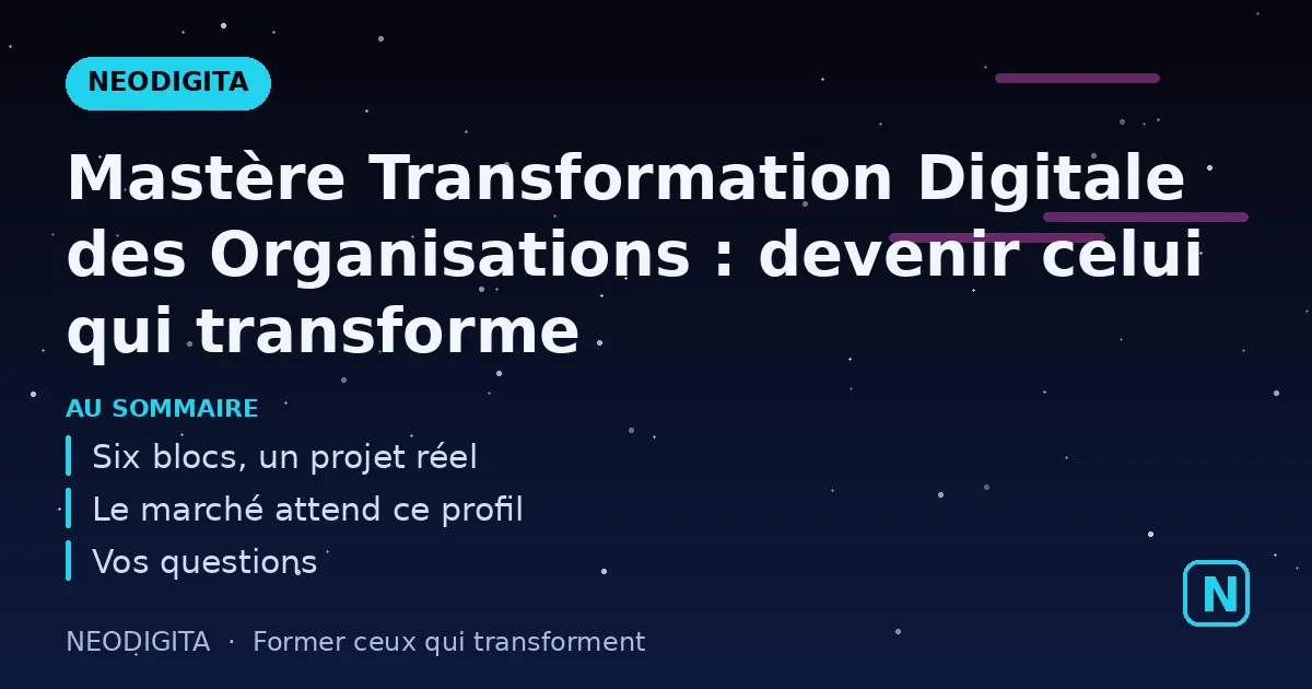 Schéma : Mastère Transformation Digitale des Organisations : devenir celui qui transforme