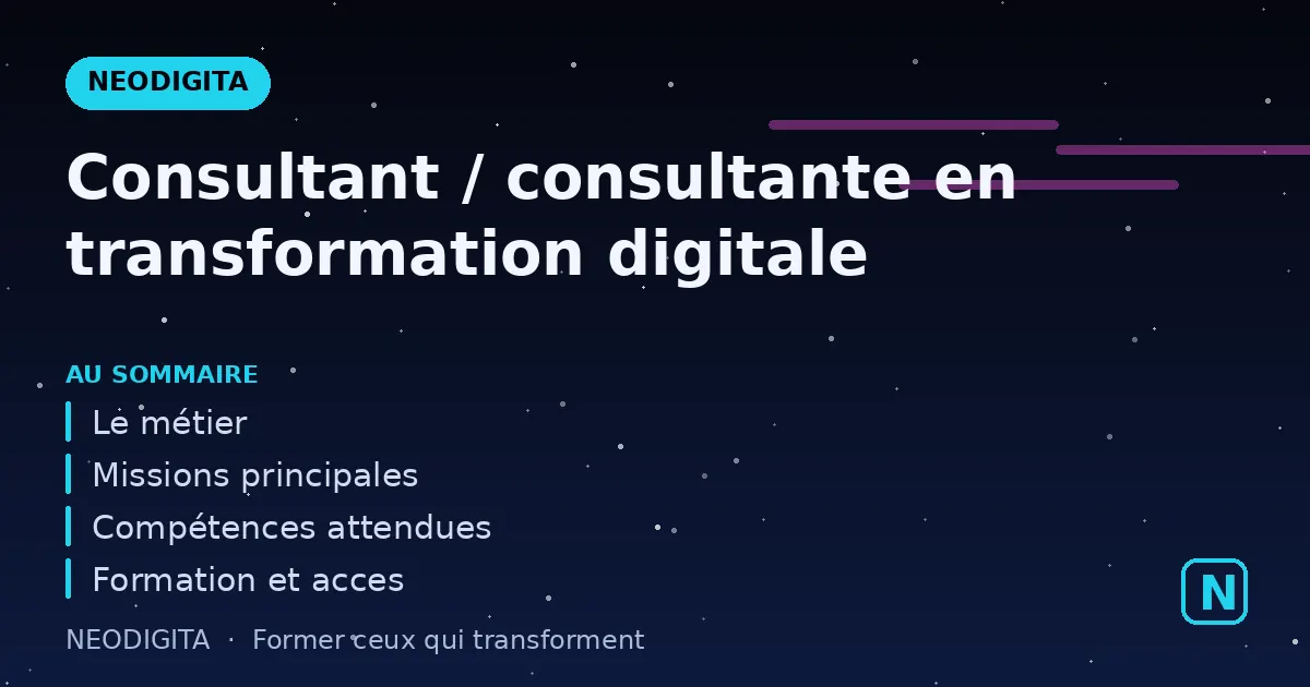 Schéma : Consultant / consultante en transformation digitale