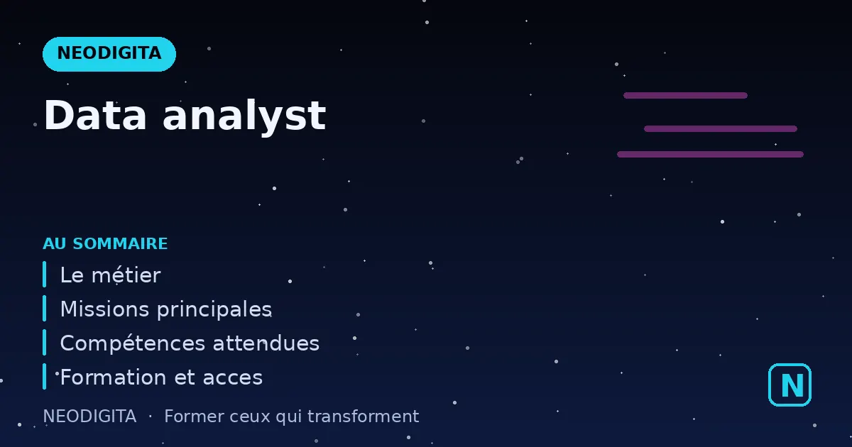 Schéma : Data analyst