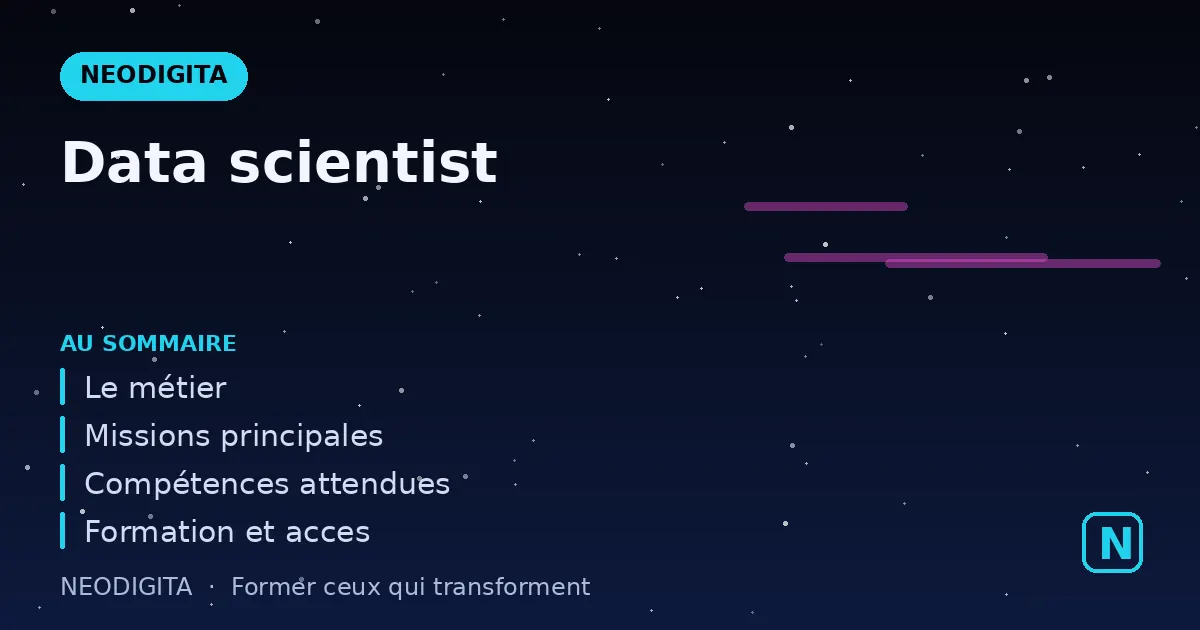 Schéma : Data scientist