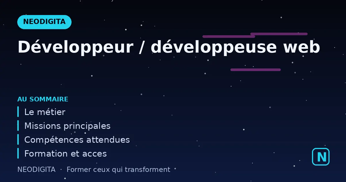 Schéma : Développeur / développeuse web