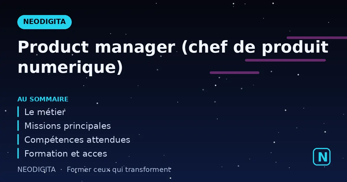 Schéma : Product manager (chef de produit numerique)